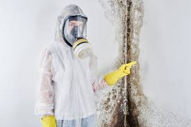 Why You Should Choose Our Mold Remediation Services in Hazlehurst, MS